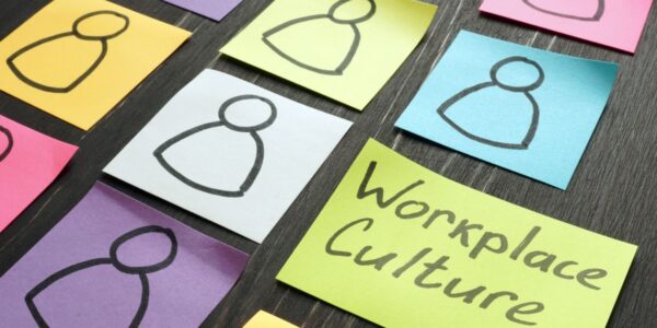culture statements
